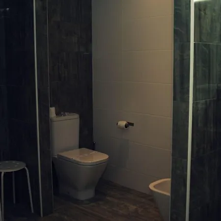 Palace E - Termas De Sao Miguel Fornos de Algodres