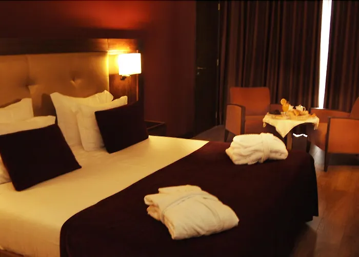 Palace E - Termas De Sao Miguel Fornos de Algodres